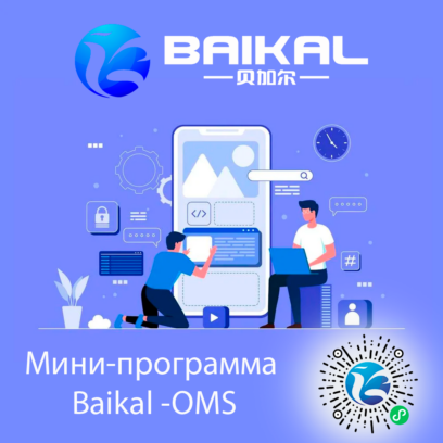 Руководство по эксплуатации мини-программы Baikal-OMS